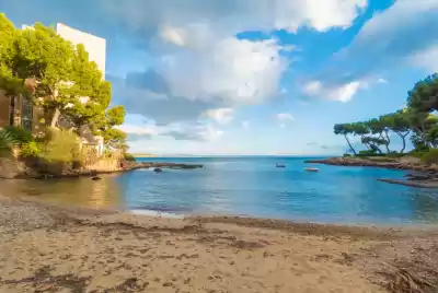 Platja de la Buguenvil.lia, Mallorca